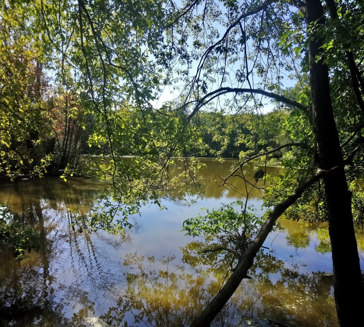 caperton-swamp-park-photo